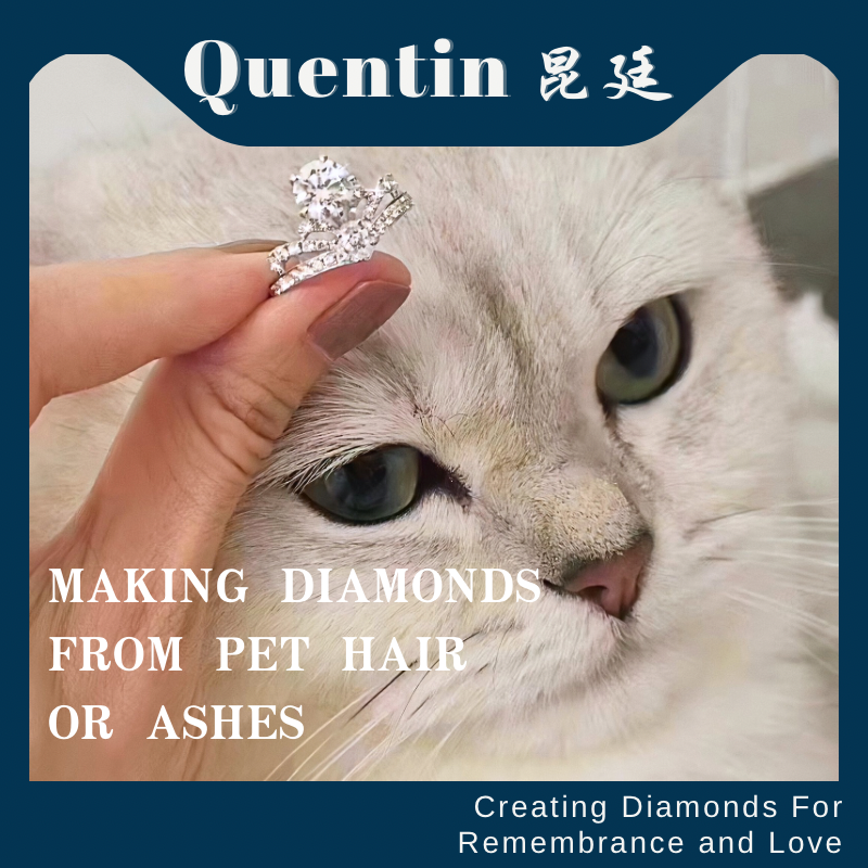 Create diamonds from pet hair or ashes